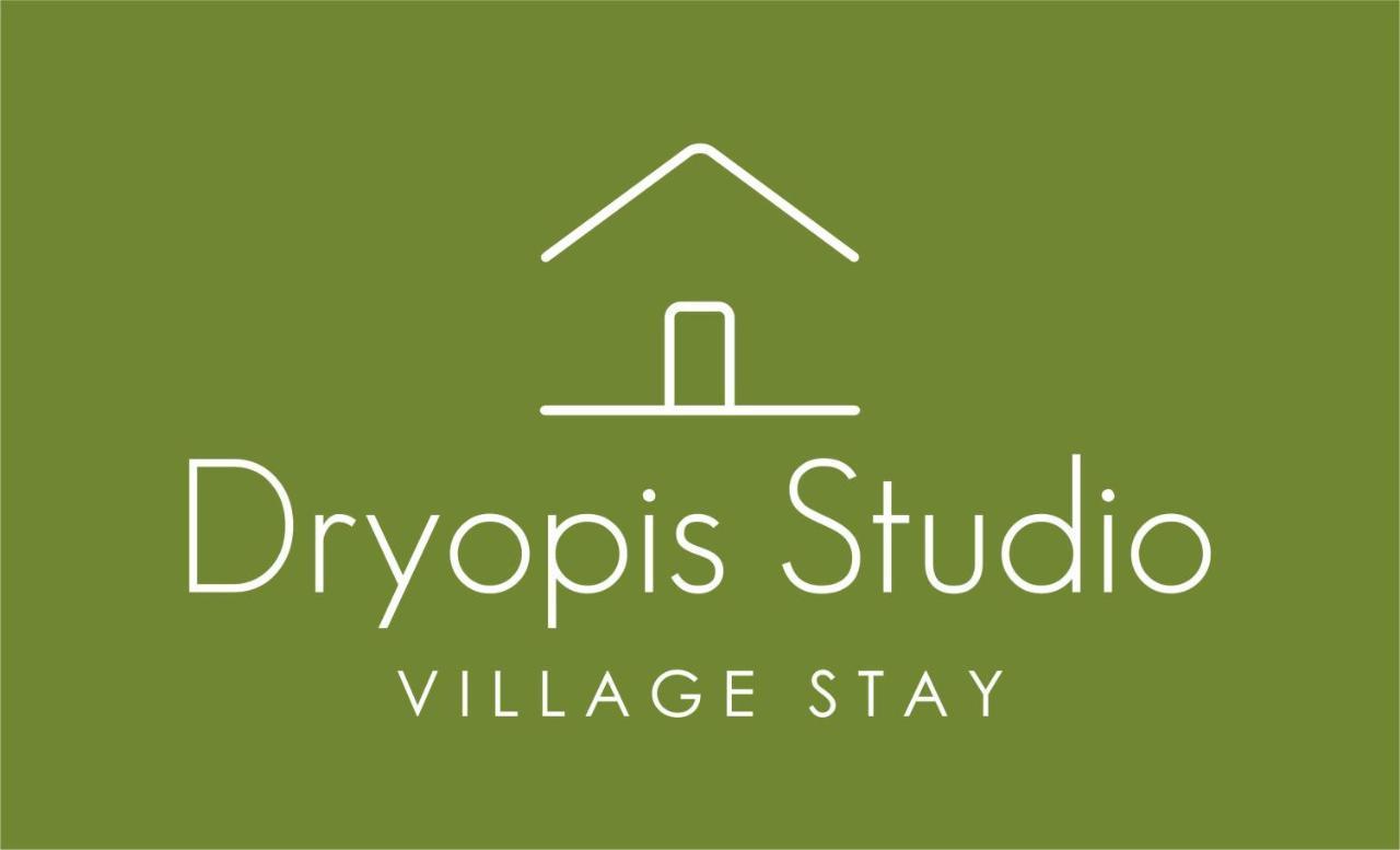 Dryopis Studio Dhriopís Exterior foto